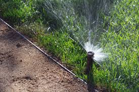 Irrigation spray head watering a lawn edge
