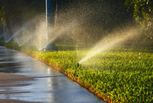 spray irrigation design irrigating a lawn and wet sidewalk