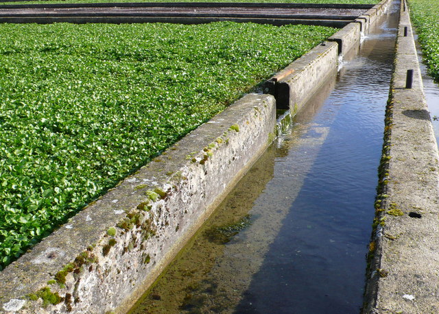 canal design to hold and transport excess rain water