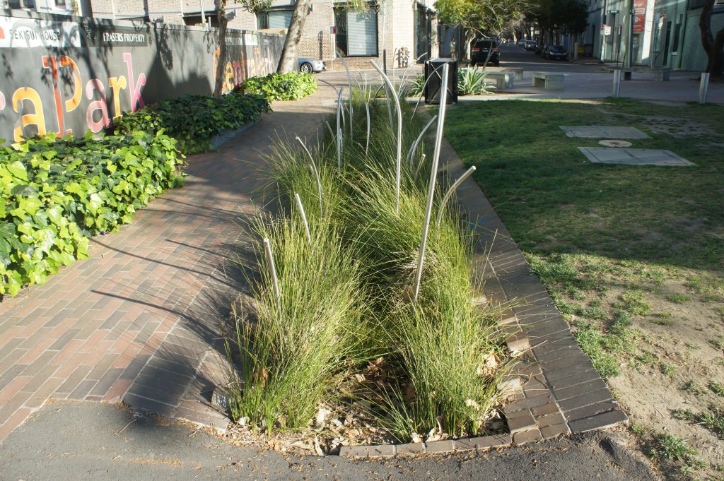 rain garden design to collect and infiltrate water 